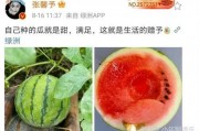 最近娱乐圈有什么瓜可吃
